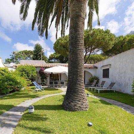 Villetta Con Giardino Esclusivo Di 1000 Mq, Piscina, Tennis, Calcio, Bocce Forio di Ischia Kültér fotó
