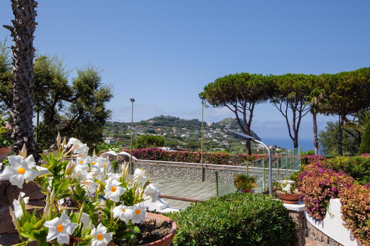 Villetta Con Giardino Esclusivo Di 1000 Mq, Piscina, Tennis, Calcio, Bocce Forio di Ischia Kültér fotó