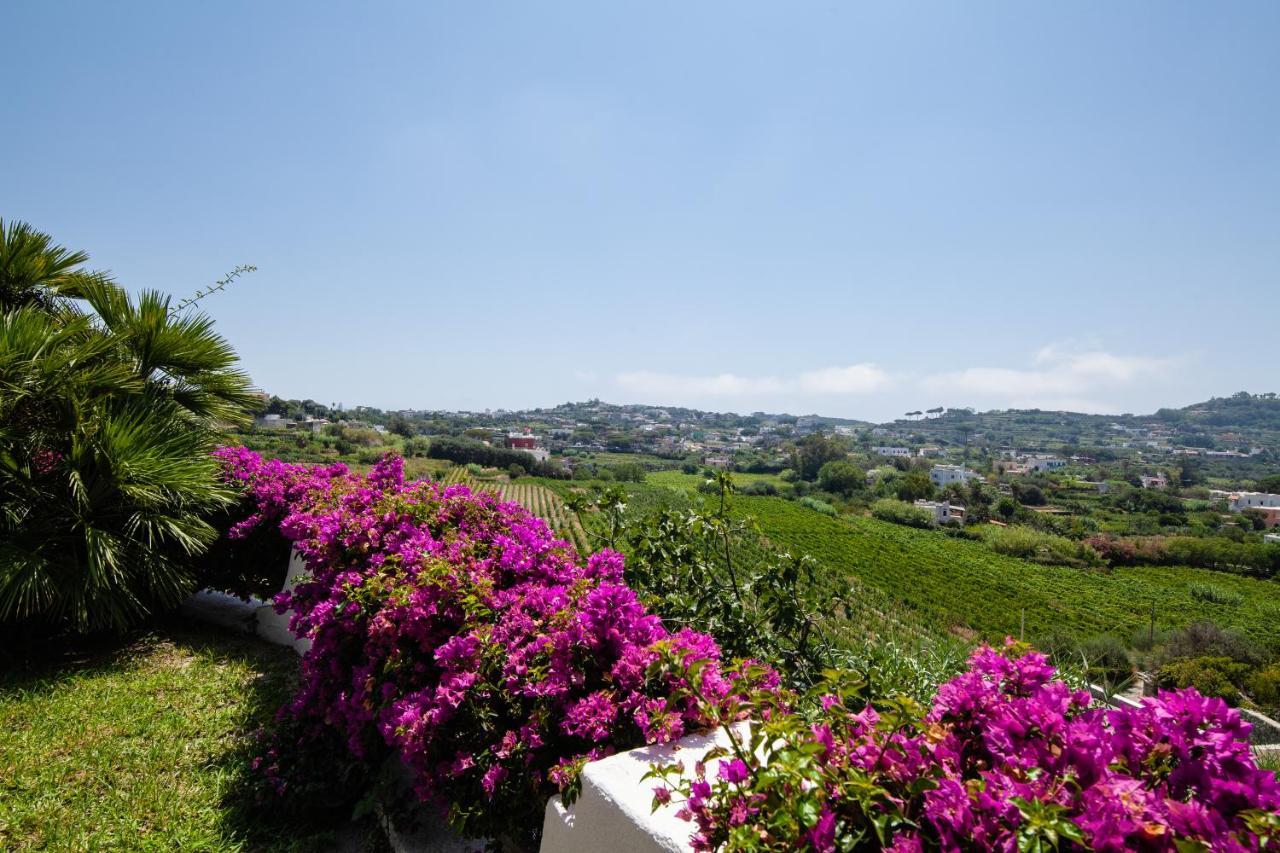 Villetta Con Giardino Esclusivo Di 1000 Mq, Piscina, Tennis, Calcio, Bocce Forio di Ischia Kültér fotó
