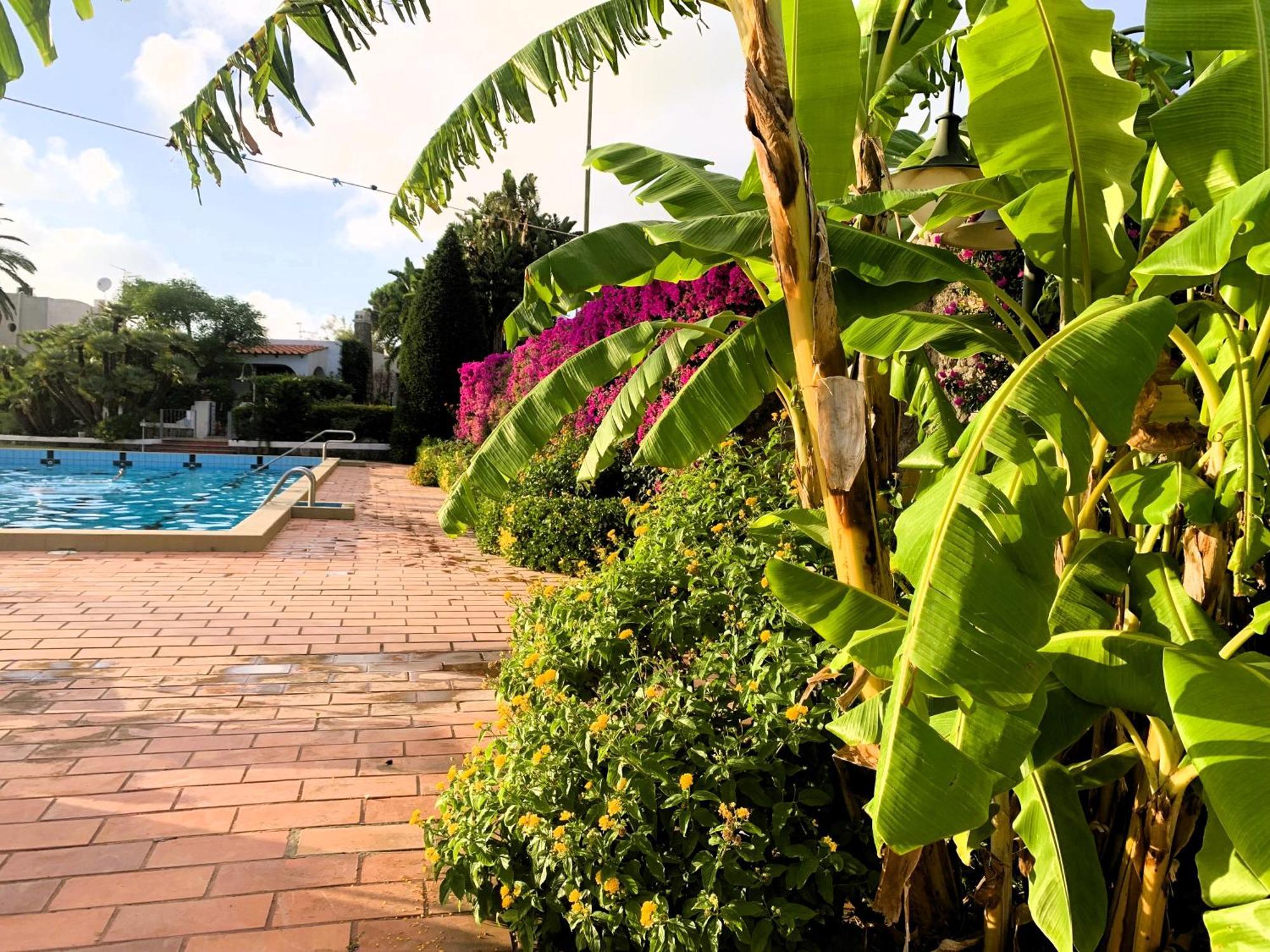 Villetta Con Giardino Esclusivo Di 1000 Mq, Piscina, Tennis, Calcio, Bocce Forio di Ischia Kültér fotó